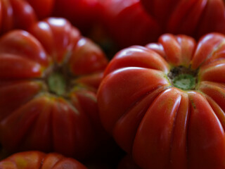 healthy tomatoes at the market