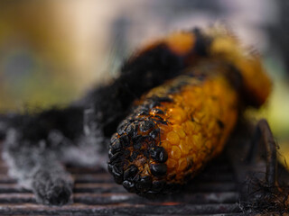 fresh and delicious roasted corn