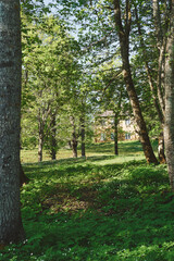 Images from a day in May 2024 at Steinberg Open Air Museum, Toten, Norway.