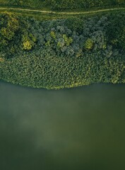 Idyllic scene featuring a small forest next to a calm body of water