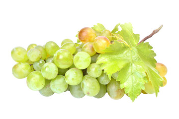 Bunch of green grapes isolated
