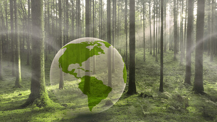 Concept environment nature foggy forest with illustrated 3d earth planet.