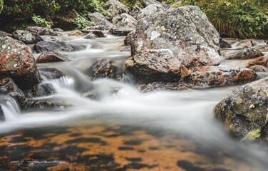 Peaceful, tranquil scene of a forest environment featuring a cascading waterfall flowing over rocks