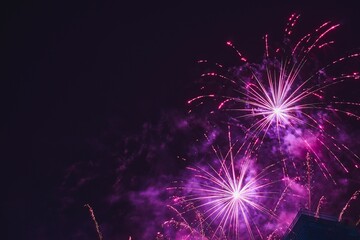 Beautiful display of vibrant fireworks bursting against a dark night sky