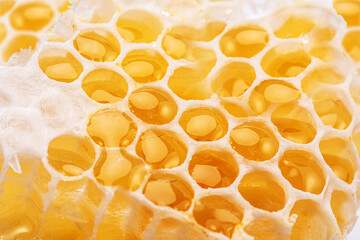 Raw honeycombs filled with fresh honey close up.