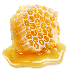 Raw honeycombs filled with fresh honey in honey puddle on white background. File contains clipping...