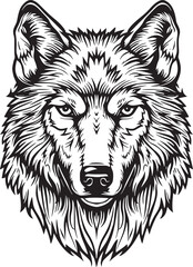 Wolf vector illustration