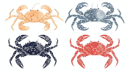 King crab vector illustrations Four . Colorful 