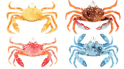 King crab vector illustrations Four . Colorful 
