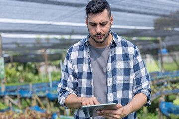 Veggie farm owner uses tablet to monitor growth and foster sustainable agriculture in a greenhouse