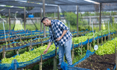 Veggie farm owner uses tablet to monitor growth and foster sustainable agriculture in a greenhouse