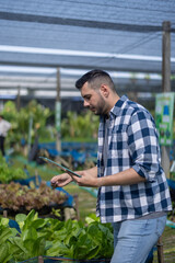 Fototapeta premium Veggie farm owner uses tablet to monitor growth and foster sustainable agriculture in a greenhouse