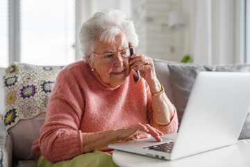 Senior woman working with laptop, shopping online, making call. Importance of digital literacy for...