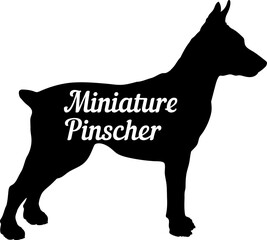 Miniature Pinscher. Dog silhouette dog breeds logo dog monogram vector