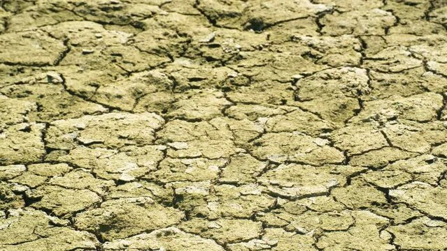 Drought cracked dry ground soil earth environmental issue Field Without Rain