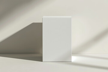 White Box on White Floor