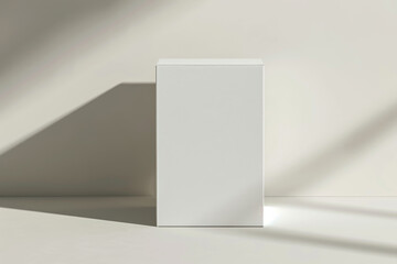 Obraz premium White Box on White Floor