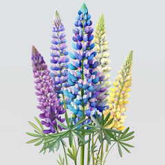 Naklejka premium Vivid illustration of various colorful lupine flowers, showcasing their tall, spiky blooms against a neutral background.