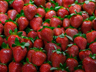 healthy strawberries at the market