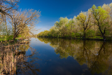 Scenic river in sunny spring day with fresh green foliage. Raba backwater in spring, Gyirmot, Gyor, Hungary.