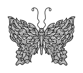 Butterfly coloring page for children and adults. Hand drawing vector illustration in black outline on a transparent background. 