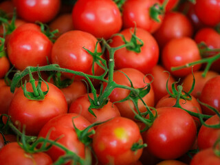 fresh and delicious tomatoes at the market