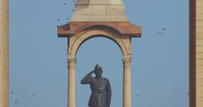 Delhi, India. Birds flying around of Statue of Subhas Chandra Bose. Netaji's Statue, is a monolithic statue made of black granite, dedicated to Netaji Subhas Chandra Bose, Indian freedom fighter and