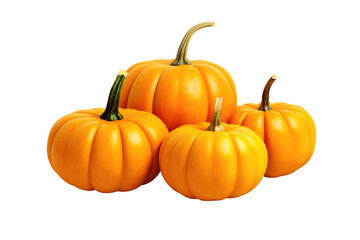 Obraz premium Harvested Jewels: Four Vibrant Pumpkins Dancing on White on Transparent PNG Background...
