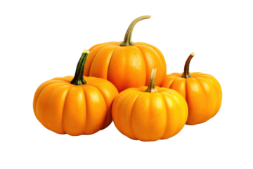 Harvested Jewels: Four Vibrant Pumpkins Dancing on White on Transparent PNG Background...