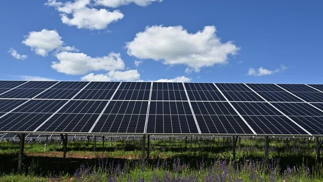 Solar Panels Power Plant Against Gren ecology-friendly renewable energy concept