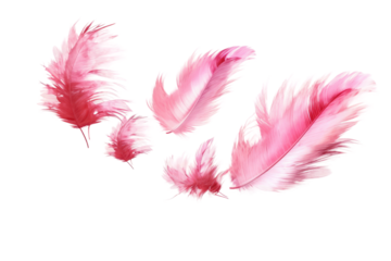 Ethereal Dance of Pink Feathers on Transparent PNG Background...