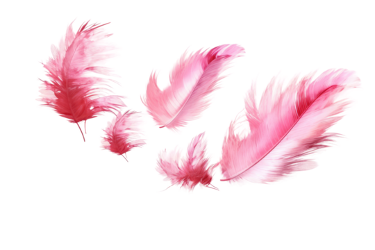 Ethereal Dance of Pink Feathers on Transparent PNG Background...