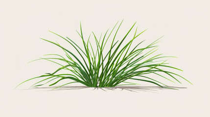 Fototapeta premium Lush green grass clump isolated on a neutral background, highlighting its natural beauty and simplicity in detail.