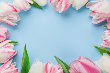Pastel colorful tulips grace the table, providing a serene and vibrant backdrop