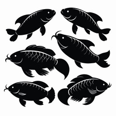 Set of Asian Arowana black Silhouette Vector on a white background