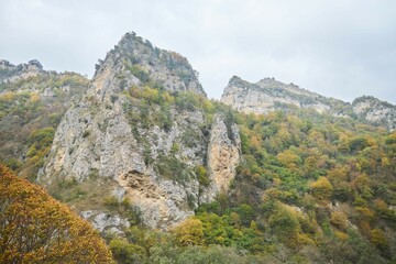 Beautiful natural landscape. The autumn season. Mountains covered with forest.