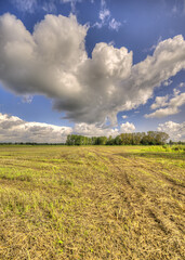 Big clouds floating over a rural landscape in The Netherlands.
