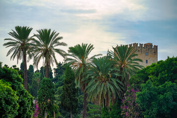 The Rhodes fortress is surrounded by greenery.