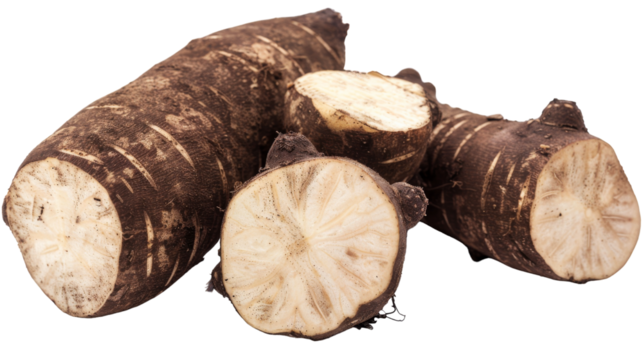 Whispers of Time: A Detailed Portrait of a Lonely Tree Trunk