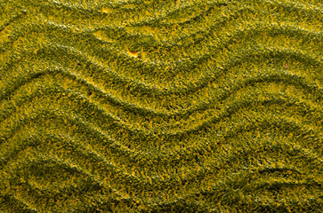  background with wavy texture in black and yellow color