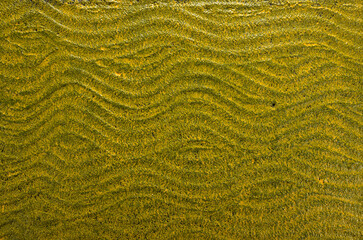  background with wavy texture in black and yellow color