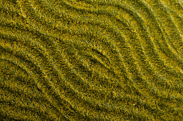  background with wavy texture in black and yellow color