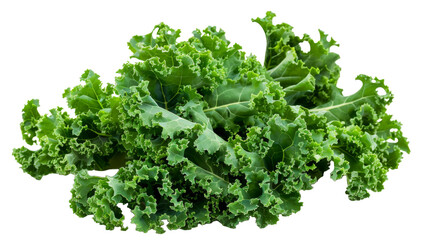 Obraz premium Crisp Green Lettuce Dances on Pure White Canvas