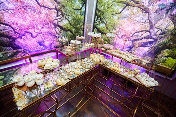 Decor for a wedding or engagement party. Desserts at the candy bar to treat guests