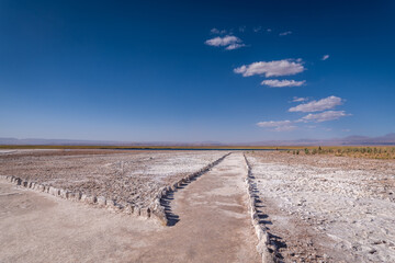 desert landscape of the highlands of Chile