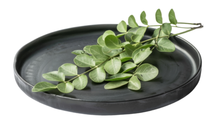 Verdant Serenity: A Lush Display of Green Leaves on a Sleek Black Plate