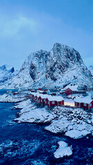 Various photos taken during the winter season on the Norwegian Lofoten Islands