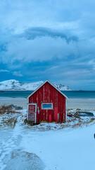 Various photos taken during the winter season on the Norwegian Lofoten Islands