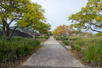A straight concrete pedestrian footpath in a local suburban park lined with trees and grass. Background texture of a walkway through an urban recreational nature reserve in a residential neighbourhood