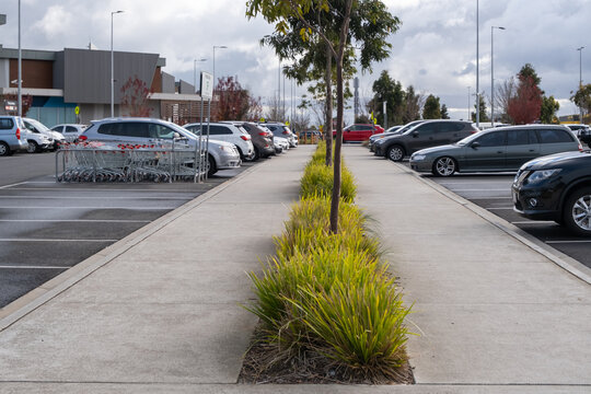 A pedestrian walkway cuts through an outdoor car parking lot outside a mall. The median strip, separating the two lanes of traffic, is landscaped with low-growing grass and a row of young trees.